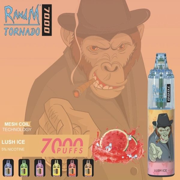 RandM Tornado Disposable Vape Pod Device Wholesale (Rechargeable 7000 Puffs) - Image 2