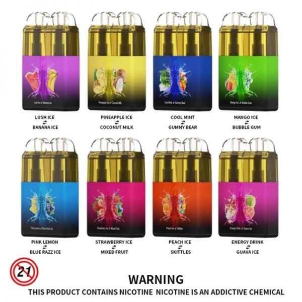 RandM Twins Disposable Vape Pod Device Wholesale (Rechargeable 6000 Puffs)