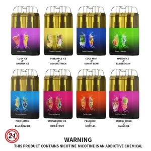 RandM Twins Disposable Vape Pod Device Wholesale (Rechargeable 6000 Puffs)