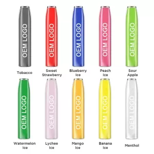 Wholesale Geek Bar Support OEM/Customized Logo Service (500 Puffs)