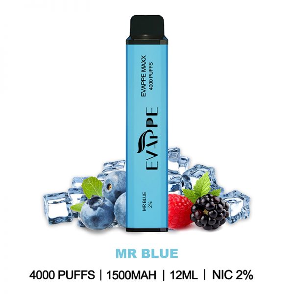 EVAPPE Maxx Disposable Vape Pod Device Wholesale (4000 Puffs) - Image 3