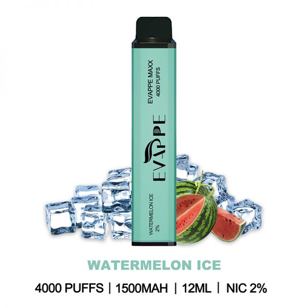 EVAPPE Maxx Disposable Vape Pod Device Wholesale (4000 Puffs) - Image 6