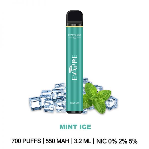 EVAPPE Bar Disposable Vape Pod Device Wholesale (700 Puffs) - Image 16