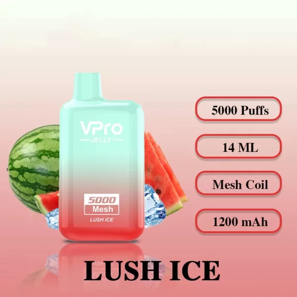 Vpro Jelly 5000 puffs E Cigarettes Rechargeable Disposable Vape - Image 20