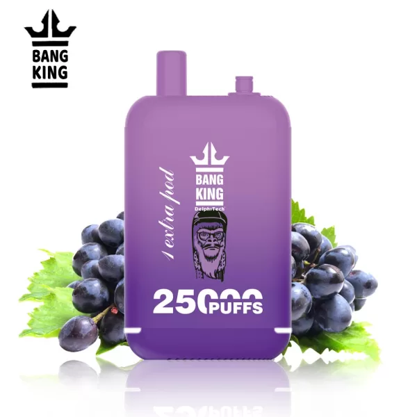 Special offer :  BANG KING Dual Pods 25000 puffs vape(10pcs) - Image 16
