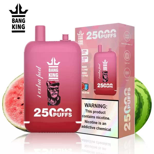 Special offer :  BANG KING Dual Pods 25000 puffs vape(10pcs) - Image 20