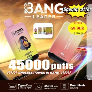 Special offer : BANG Leader 45000 Puffs dual flavors vape (10pcs)