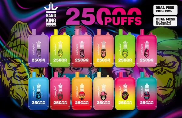 Special offer :  BANG KING Dual Pods 25000 puffs vape(10pcs) - Image 2