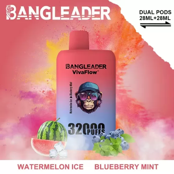 Special offer :  Bang Leader Dual Flavors 32000 puffs vape (10pcs) - Image 6