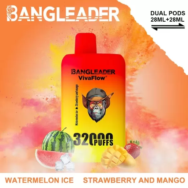 Special offer :  Bang Leader Dual Flavors 32000 puffs vape (10pcs) - Image 5