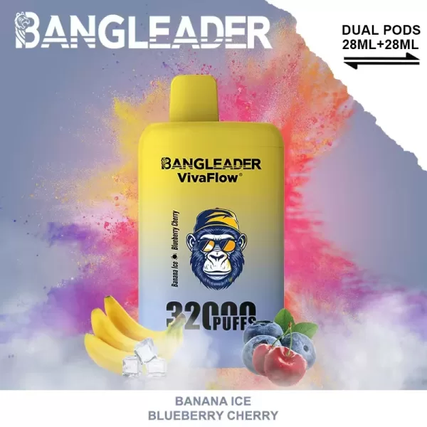 Special offer :  Bang Leader Dual Flavors 32000 puffs vape (10pcs) - Image 8