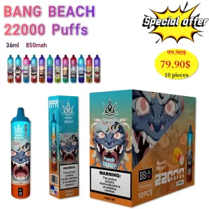 Special offer : Good price bang beach 22000 puffs vape (10 pcs)