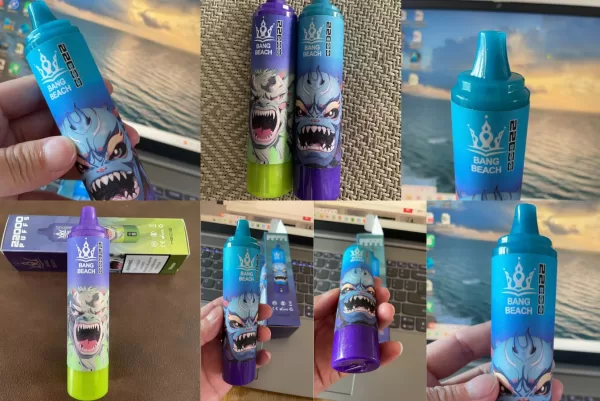 Special offer : Good price bang beach 22000 puffs vape (10 pcs) - Image 3
