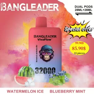 Special offer :  Bang Leader Dual Flavors 32000 puffs vape (10pcs)