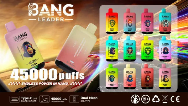 Special offer : BANG Leader 45000 Puffs dual flavors vape (10pcs) - Image 2