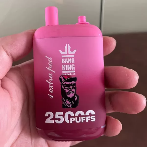 Special offer :  BANG KING Dual Pods 25000 puffs vape(10pcs) - Image 6