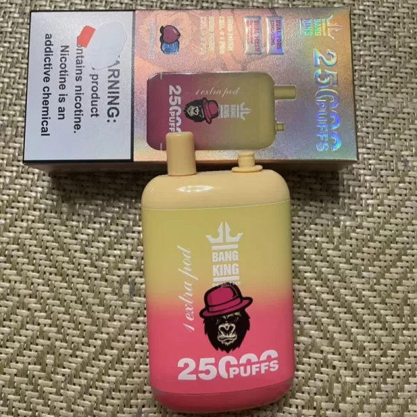 Special offer :  BANG KING Dual Pods 25000 puffs vape(10pcs) - Image 9