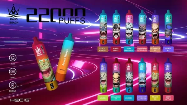 Special offer : Good price bang beach 22000 puffs vape (10 pcs) - Image 2