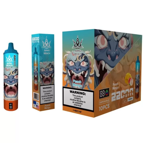 Special offer : Good price bang beach 22000 puffs vape (10 pcs) - Image 10