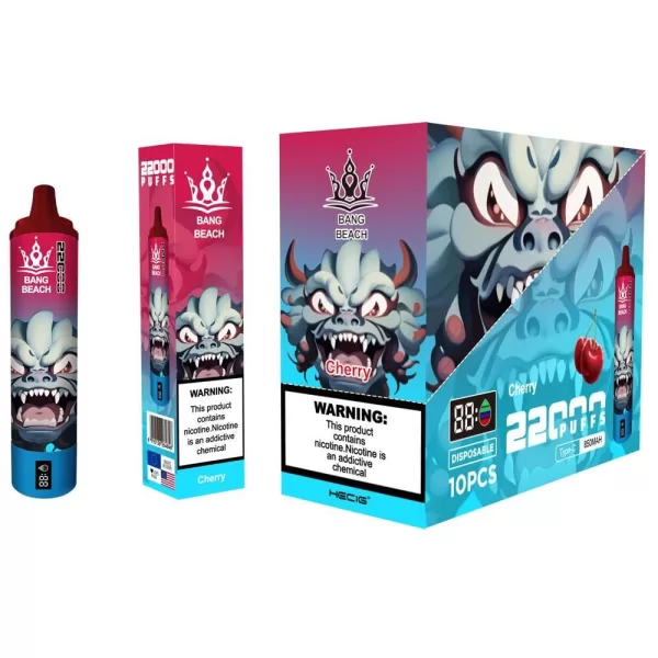 Special offer : Good price bang beach 22000 puffs vape (10 pcs) - Image 12