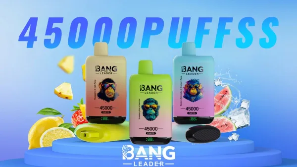Special offer : BANG Leader 45000 Puffs dual flavors vape (10pcs) - Image 3