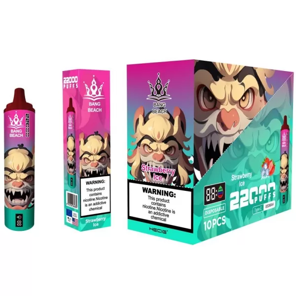Special offer : Good price bang beach 22000 puffs vape (10 pcs) - Image 13
