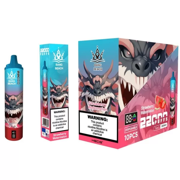 Special offer : Good price bang beach 22000 puffs vape (10 pcs) - Image 15