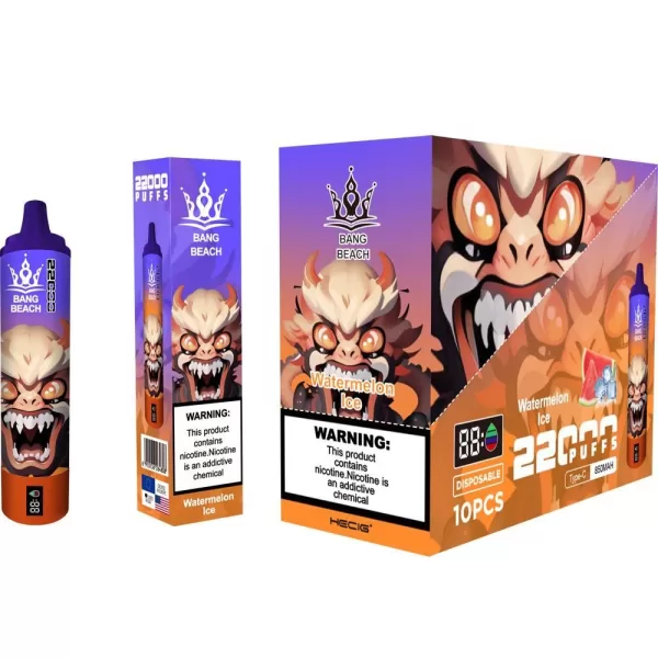 Special offer : Good price bang beach 22000 puffs vape (10 pcs) - Image 16