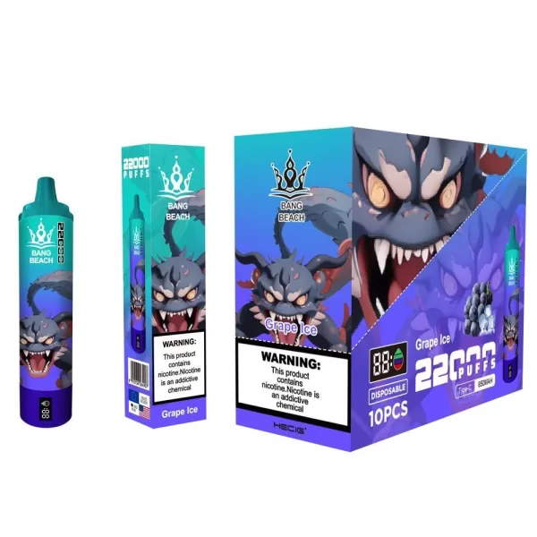 Special offer : Good price bang beach 22000 puffs vape (10 pcs) - Image 17