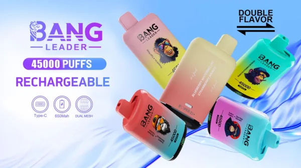 Special offer : BANG Leader 45000 Puffs dual flavors vape (10pcs) - Image 4
