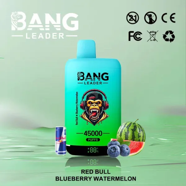 Special offer : BANG Leader 45000 Puffs dual flavors vape (10pcs) - Image 8