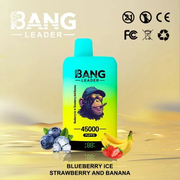 Special offer : BANG Leader 45000 Puffs dual flavors vape (10pcs) - Image 9