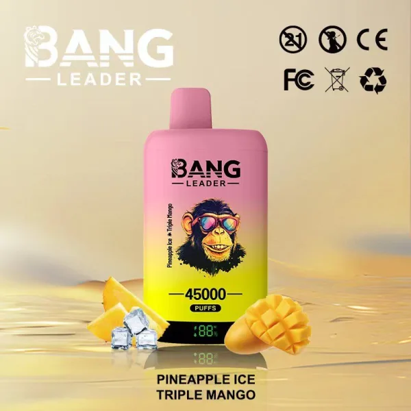 Special offer : BANG Leader 45000 Puffs dual flavors vape (10pcs) - Image 11