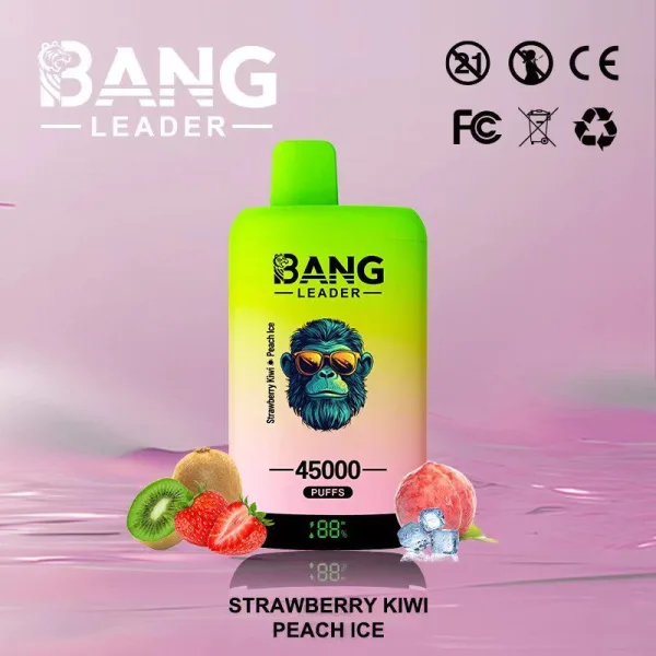 Special offer : BANG Leader 45000 Puffs dual flavors vape (10pcs) - Image 12
