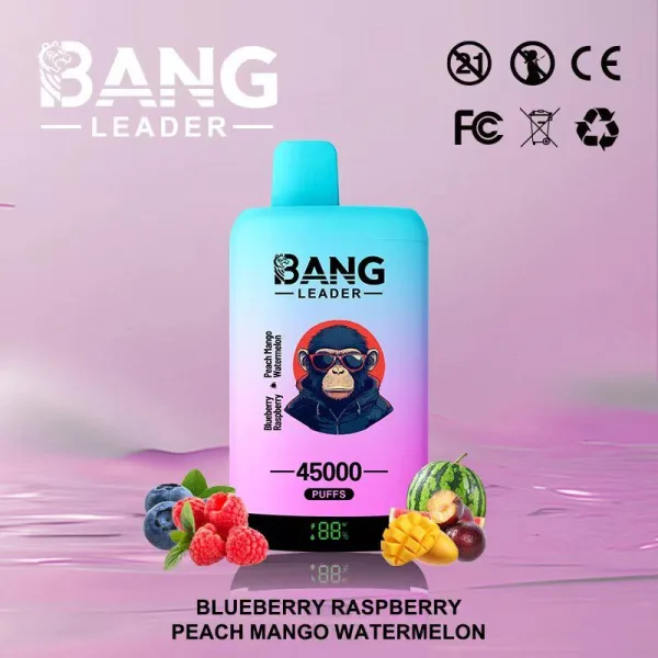 Special offer : BANG Leader 45000 Puffs dual flavors vape (10pcs) - Image 13