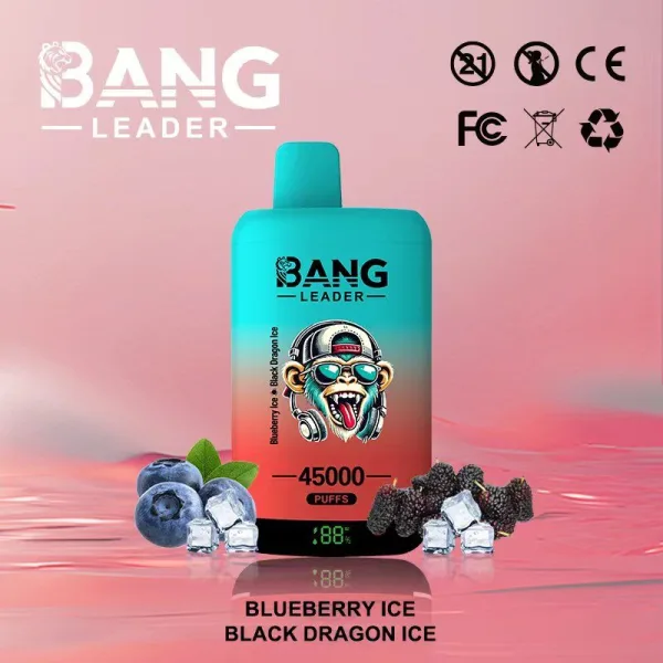 Special offer : BANG Leader 45000 Puffs dual flavors vape (10pcs) - Image 14