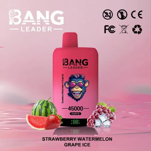 Special offer : BANG Leader 45000 Puffs dual flavors vape (10pcs) - Image 15