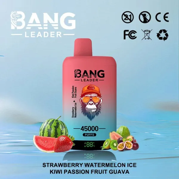 Special offer : BANG Leader 45000 Puffs dual flavors vape (10pcs) - Image 16