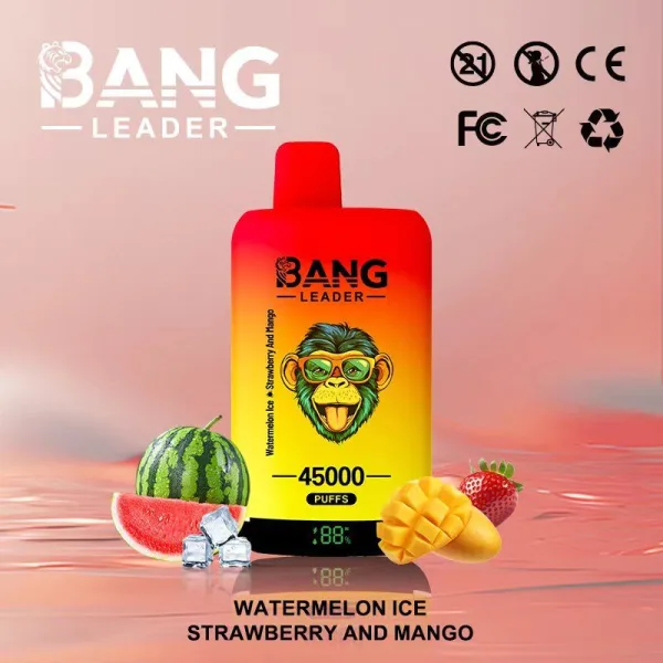 Special offer : BANG Leader 45000 Puffs dual flavors vape (10pcs) - Image 17