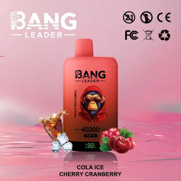 Special offer : BANG Leader 45000 Puffs dual flavors vape (10pcs) - Image 18